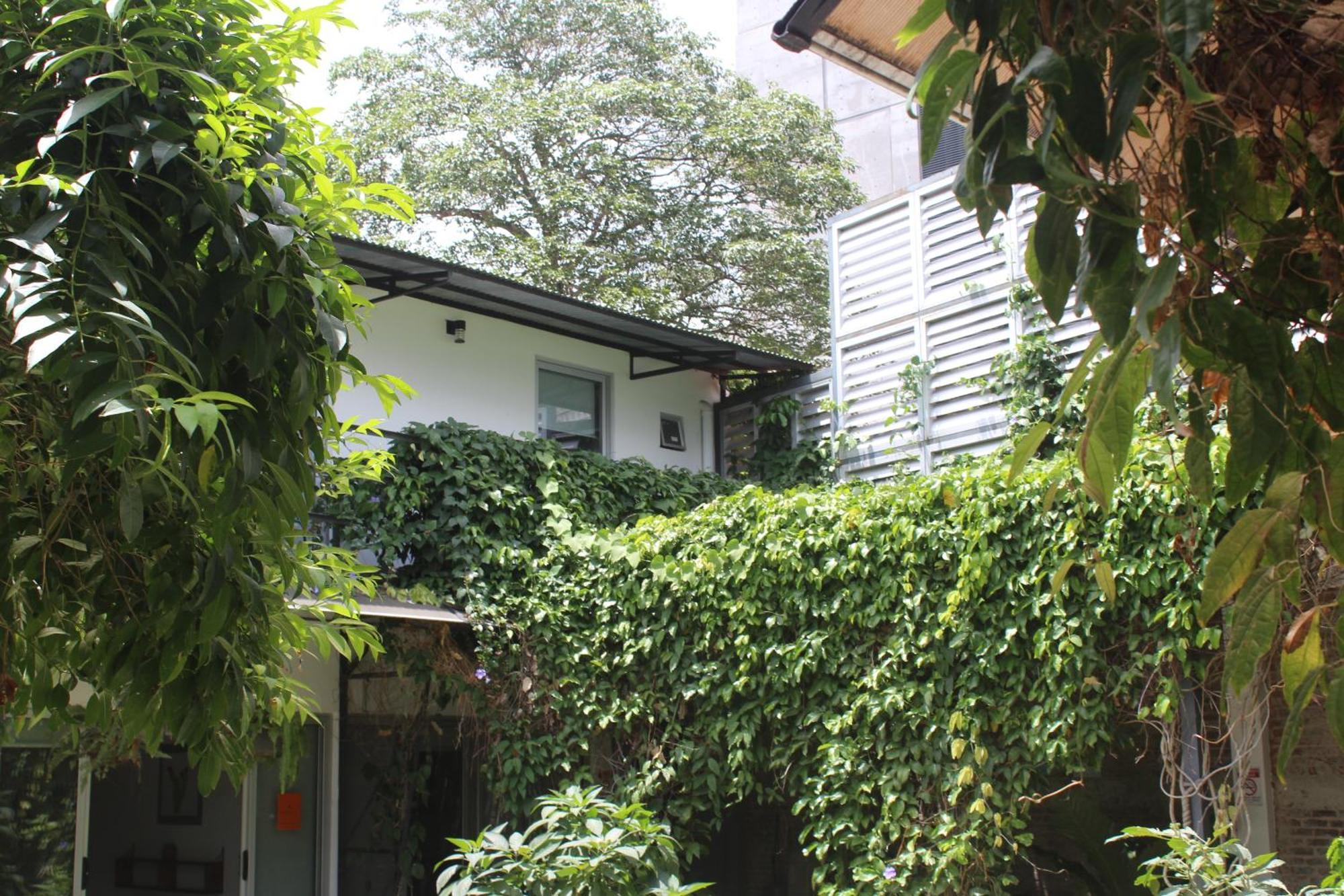 Cando Living In Avenue San Jose (San Jose)
