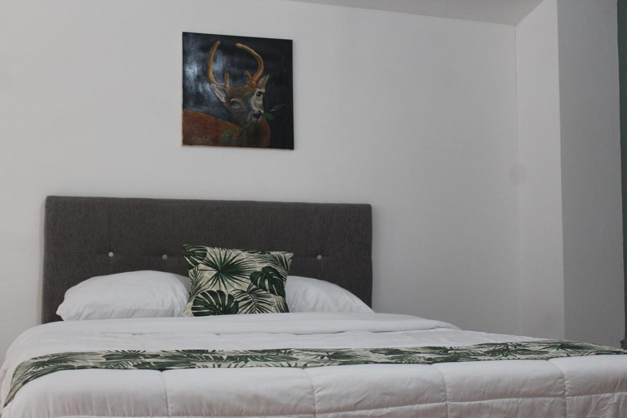 Aparthotel Cando Living In Avenue San Jose (San Jose)