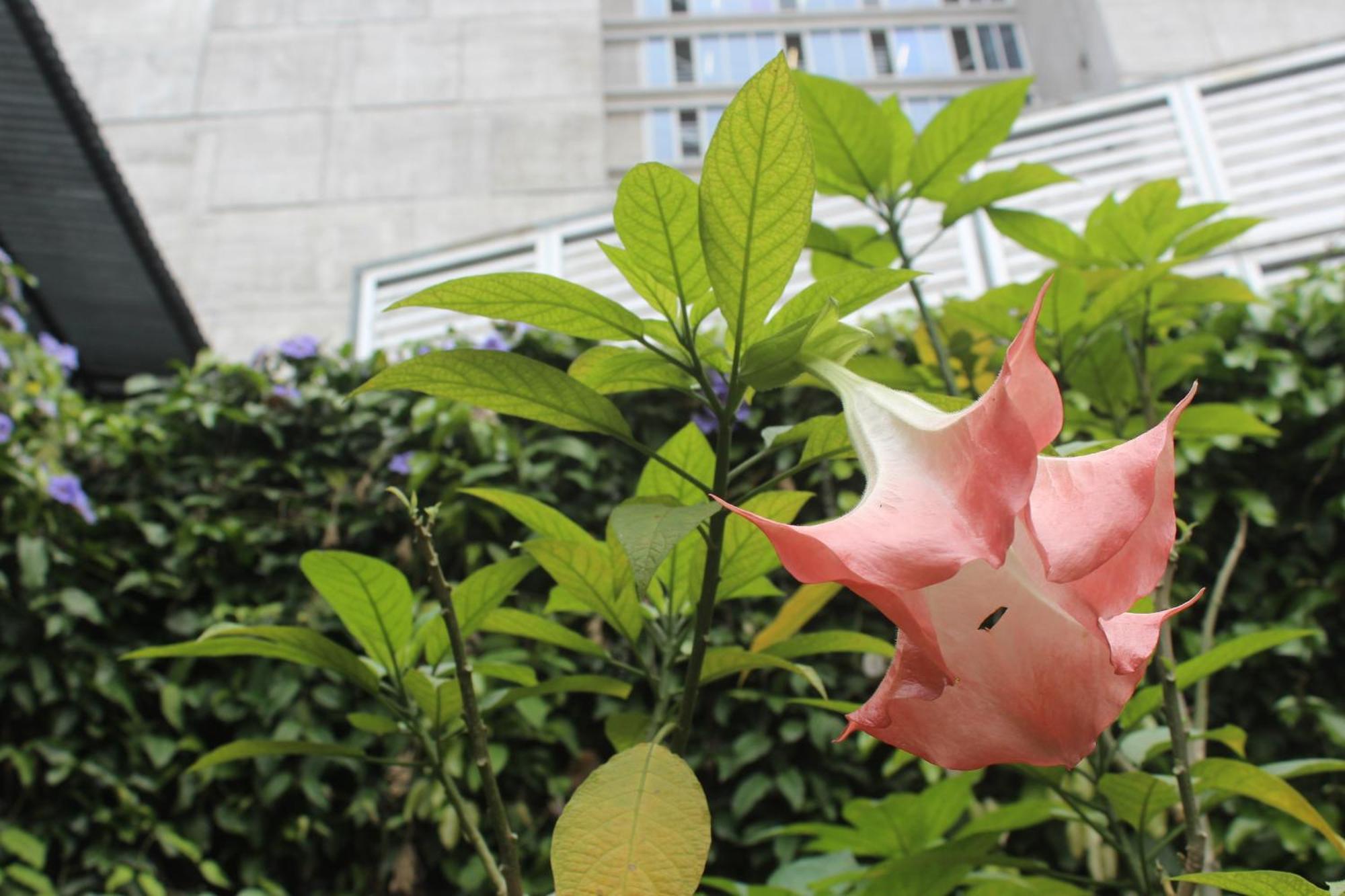 Appart hôtel Cando Living In Avenue 3*
