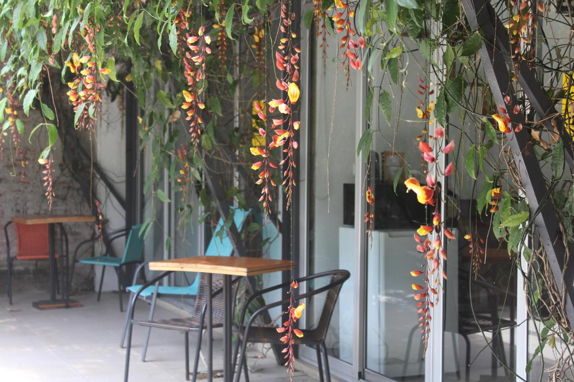 Cando Living In Avenue 3* San José