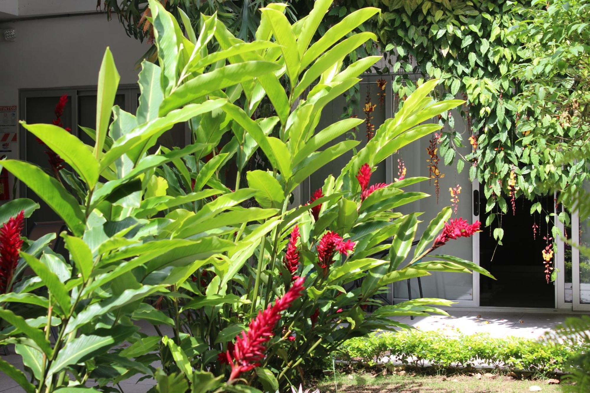 Cando Living In Avenue San José